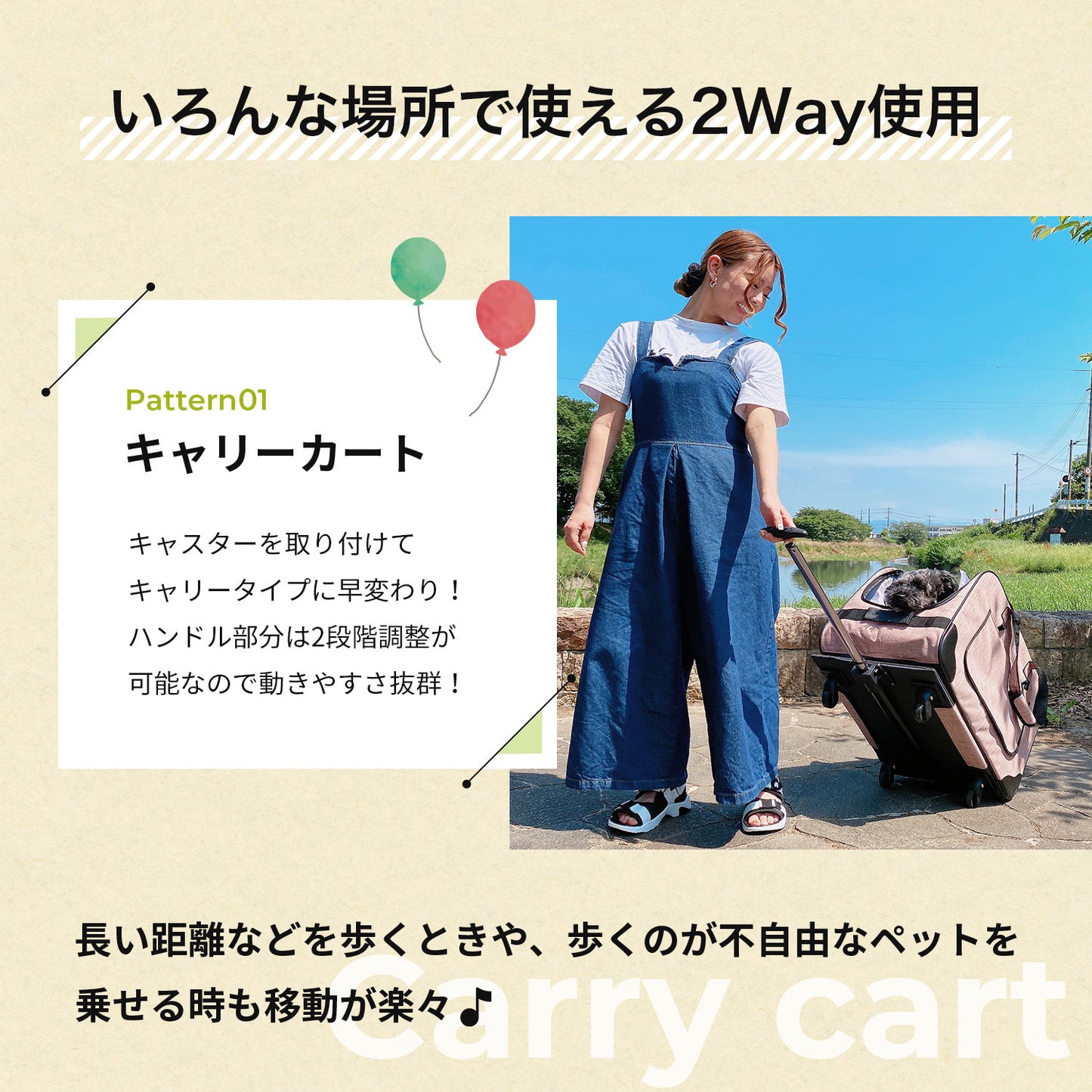【当店限定180日延長保証】 SunRuck ハンドル付き2Wayペットキャリー  サンルック SR-PCR01
