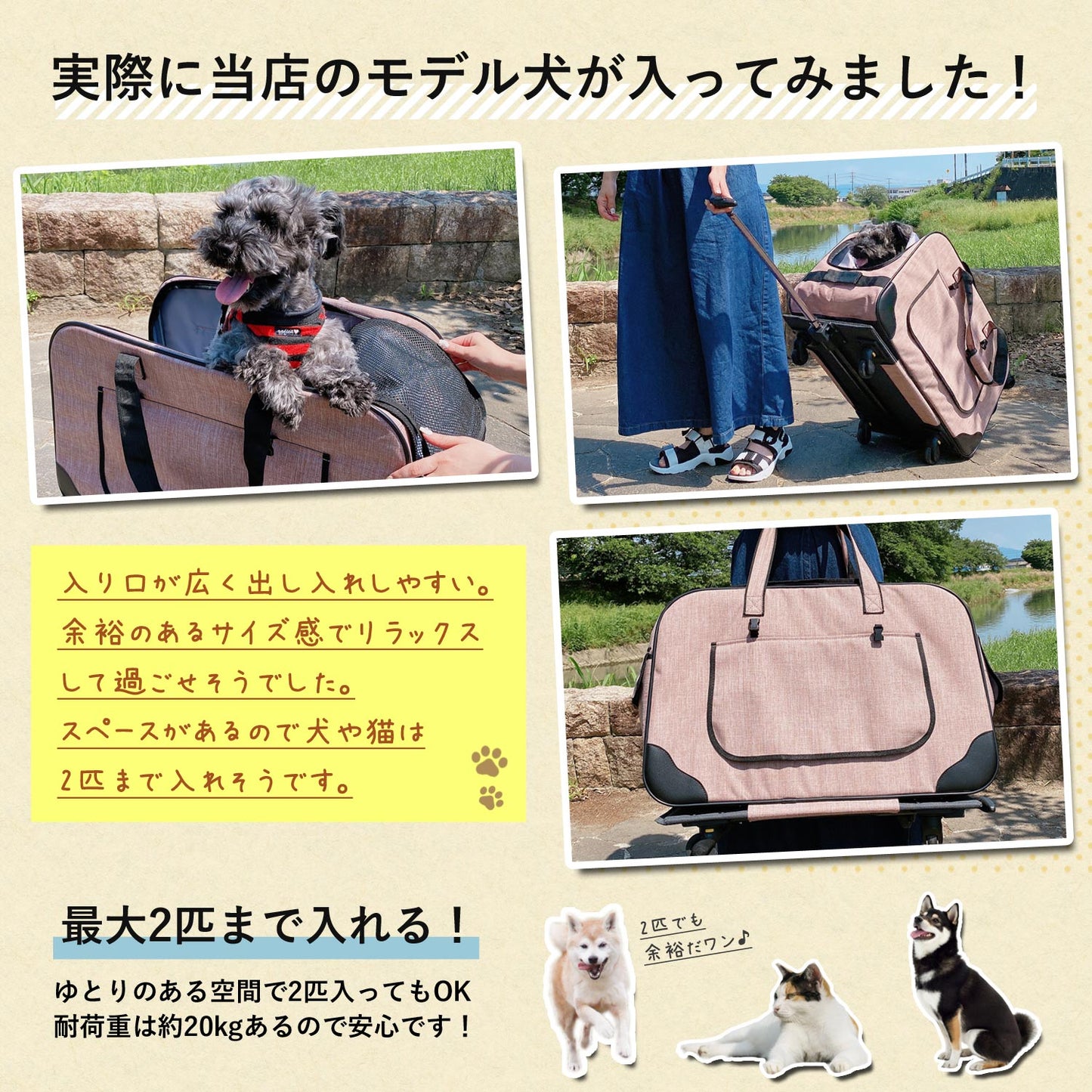 【当店限定180日延長保証】 SunRuck ハンドル付き2Wayペットキャリー  サンルック SR-PCR01