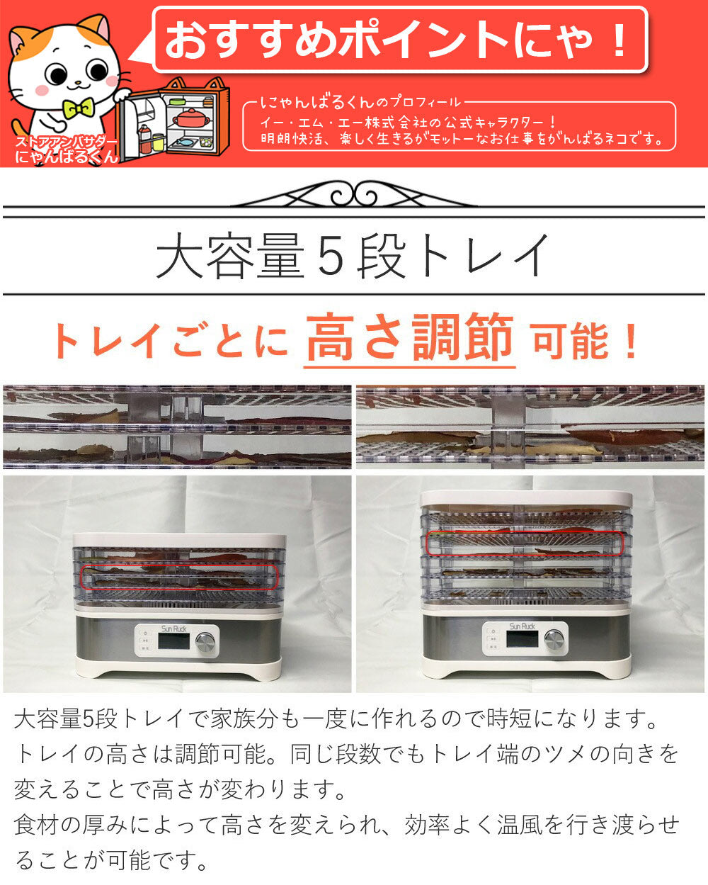 【当店限定180日延長保証】SunRuck フードドライヤー サンルック SR-EFD010