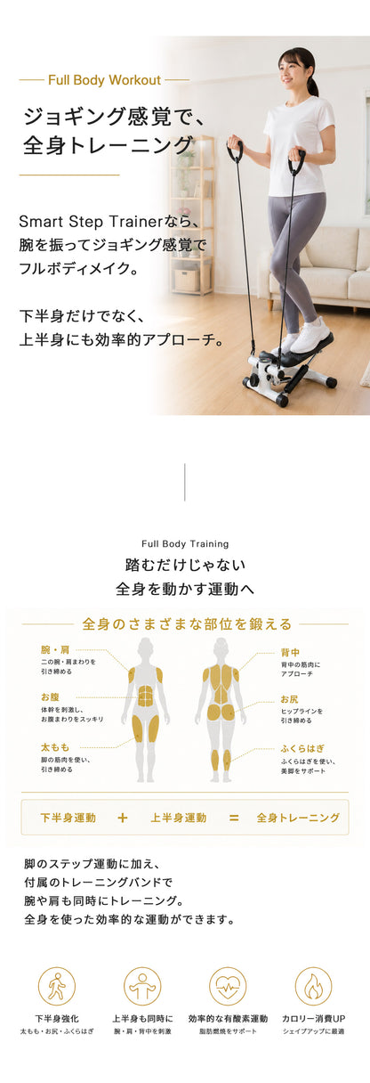 【当店限定180日延長保証】 SunRuck フィットネスステッパー サンルック SR-FT028