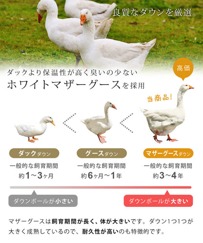 SunRuck 日本製羽毛布団 ホワイトマザーグースダウン 95% クイーンサイズ サンルック A784QZ