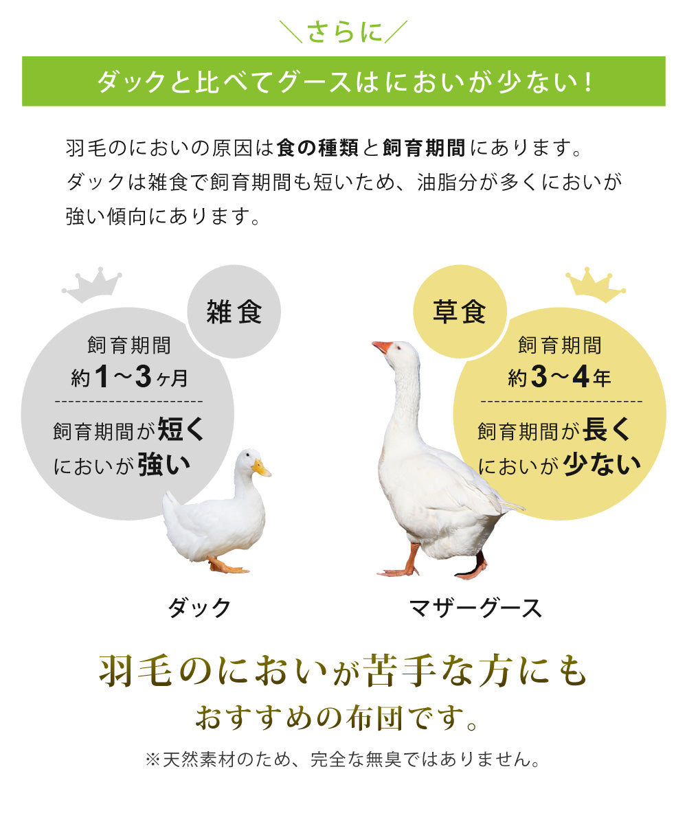 SunRuck 日本製羽毛布団 ホワイトマザーグースダウン 95% シングルサイズ A784SZ