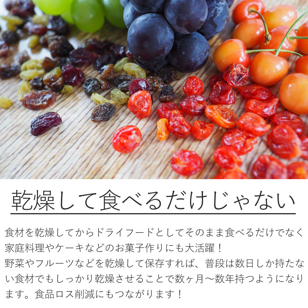 【当店限定180日延長保証】SunRuck フードドライヤー サンルック SR-EFD010