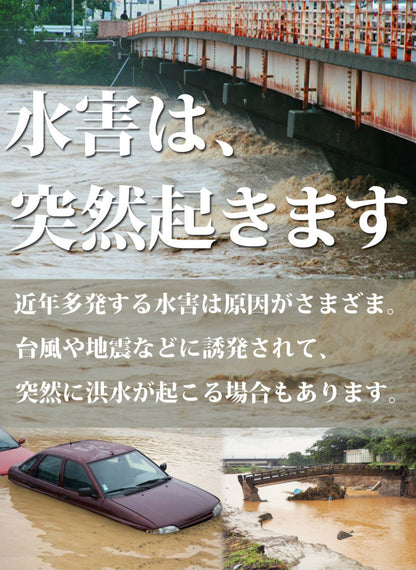 【90日保証】 SunRuck 車用浸水対策カバー W600×D350×H250cm サンルック SR-FP01