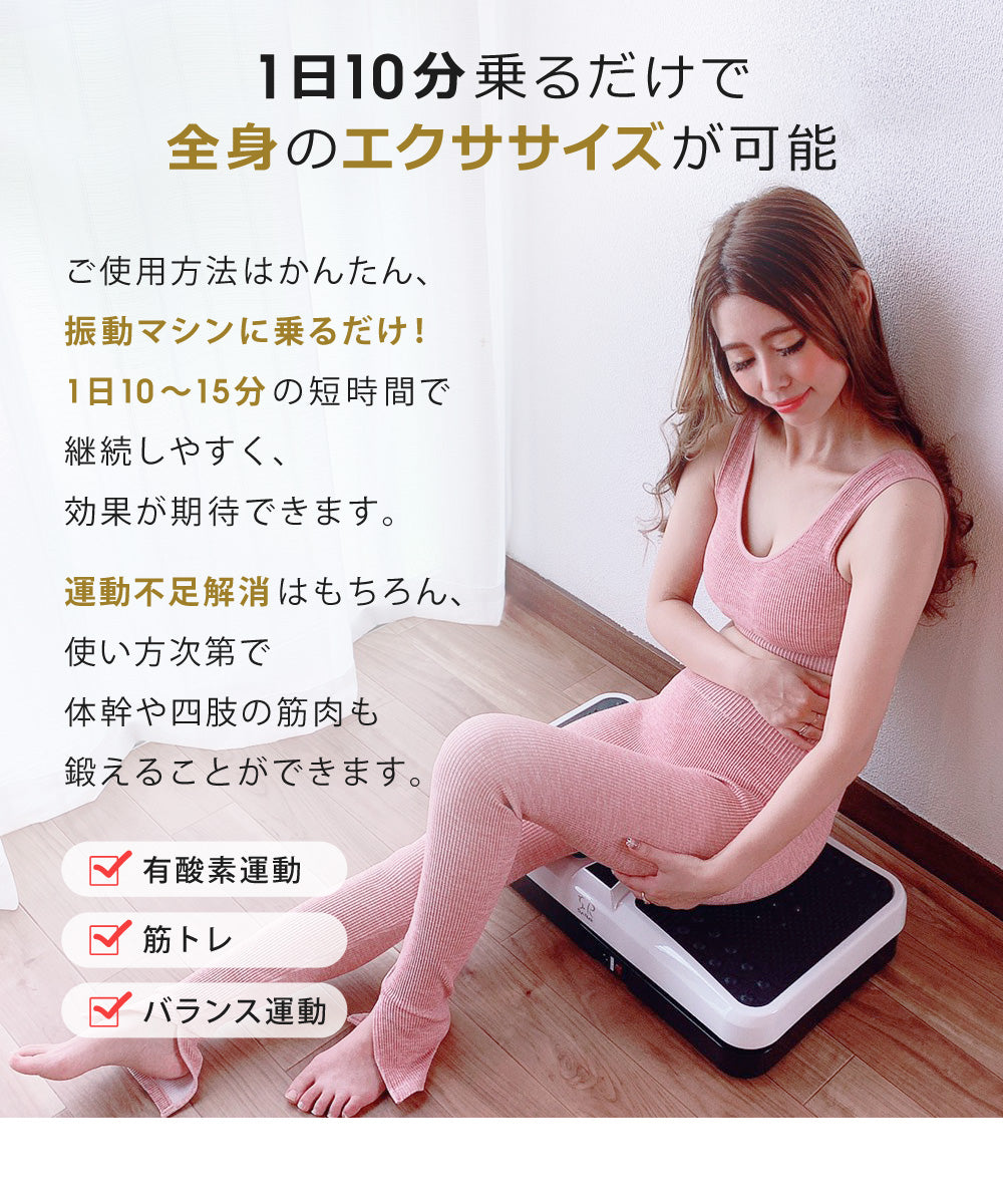 SunRuck 小型振動フィットネスマシン サンルック SR-FT012