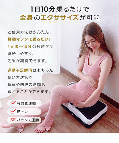 SunRuck 小型振動フィットネスマシン サンルック SR-FT012