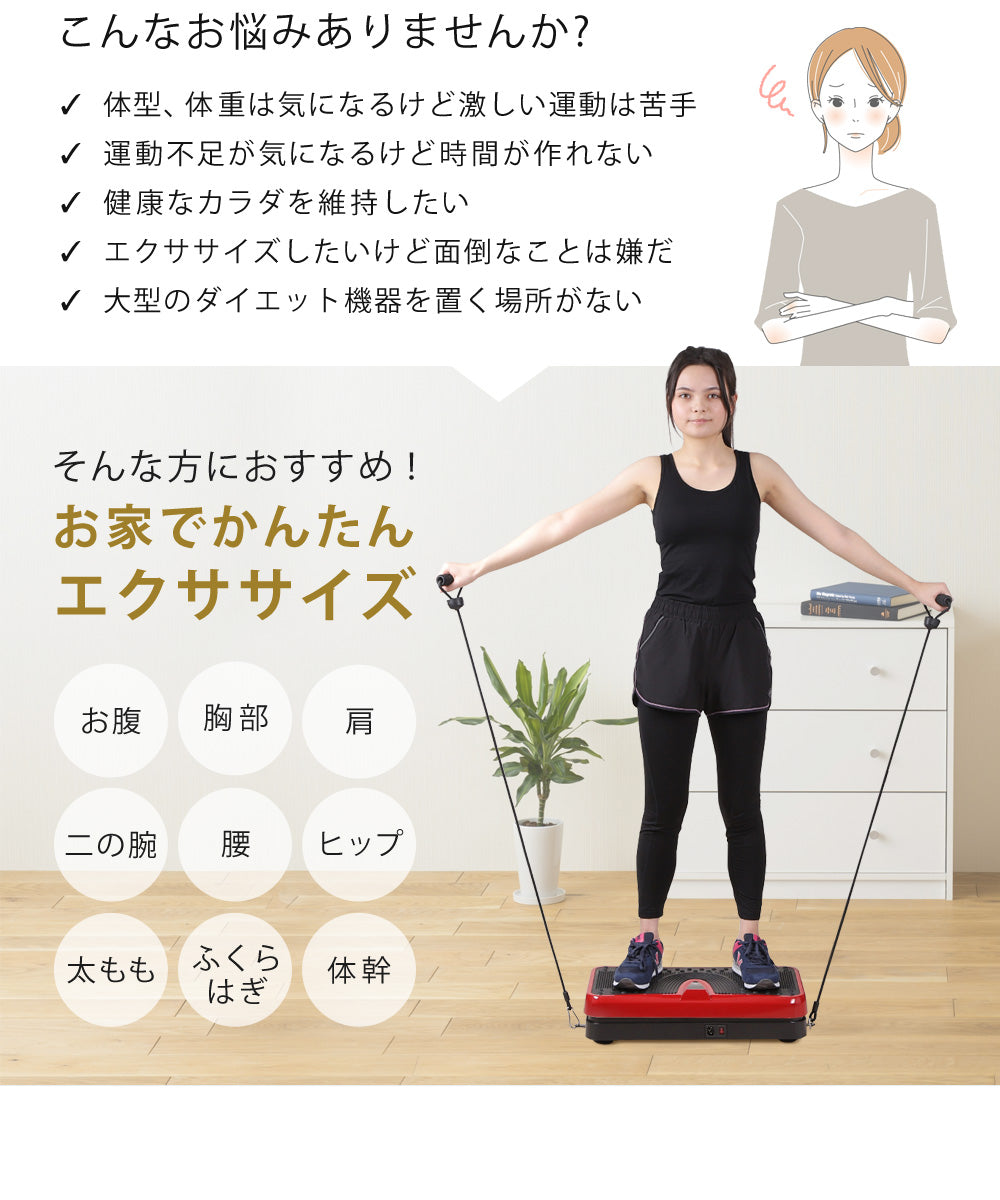 SunRuck 小型振動フィットネスマシン サンルック SR-FT012